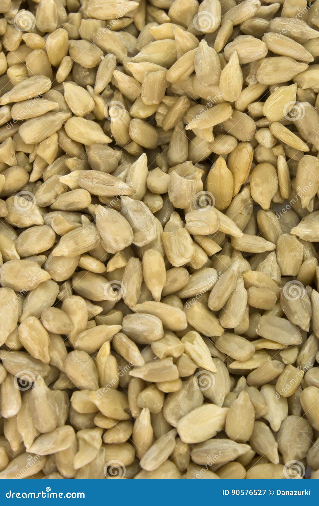 Sunflower Seeds stock image. Image of healthy, organic 90576527