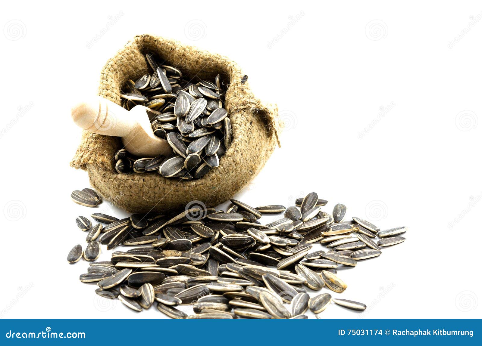 Sunflower Seeds in Small Sack Bag on White Background Stock Photo
