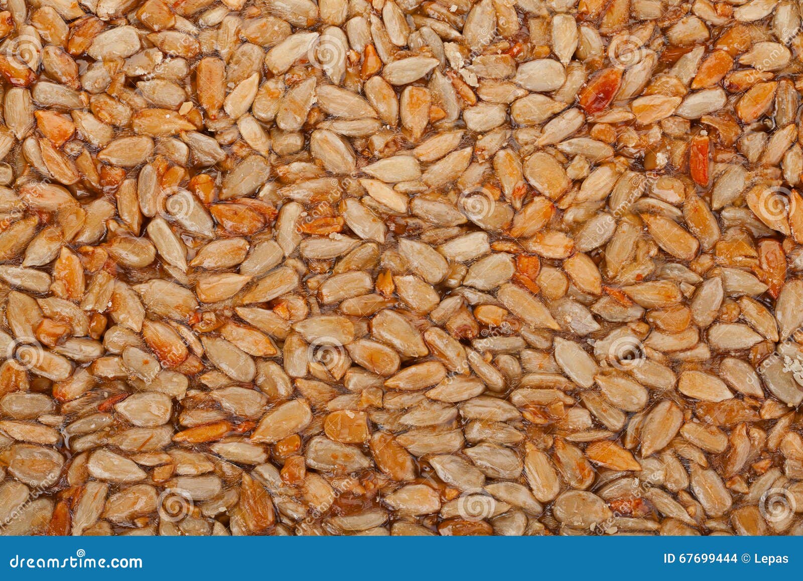 Sunflower Seeds in Sugar Backgorund Stock Photo Image of natural