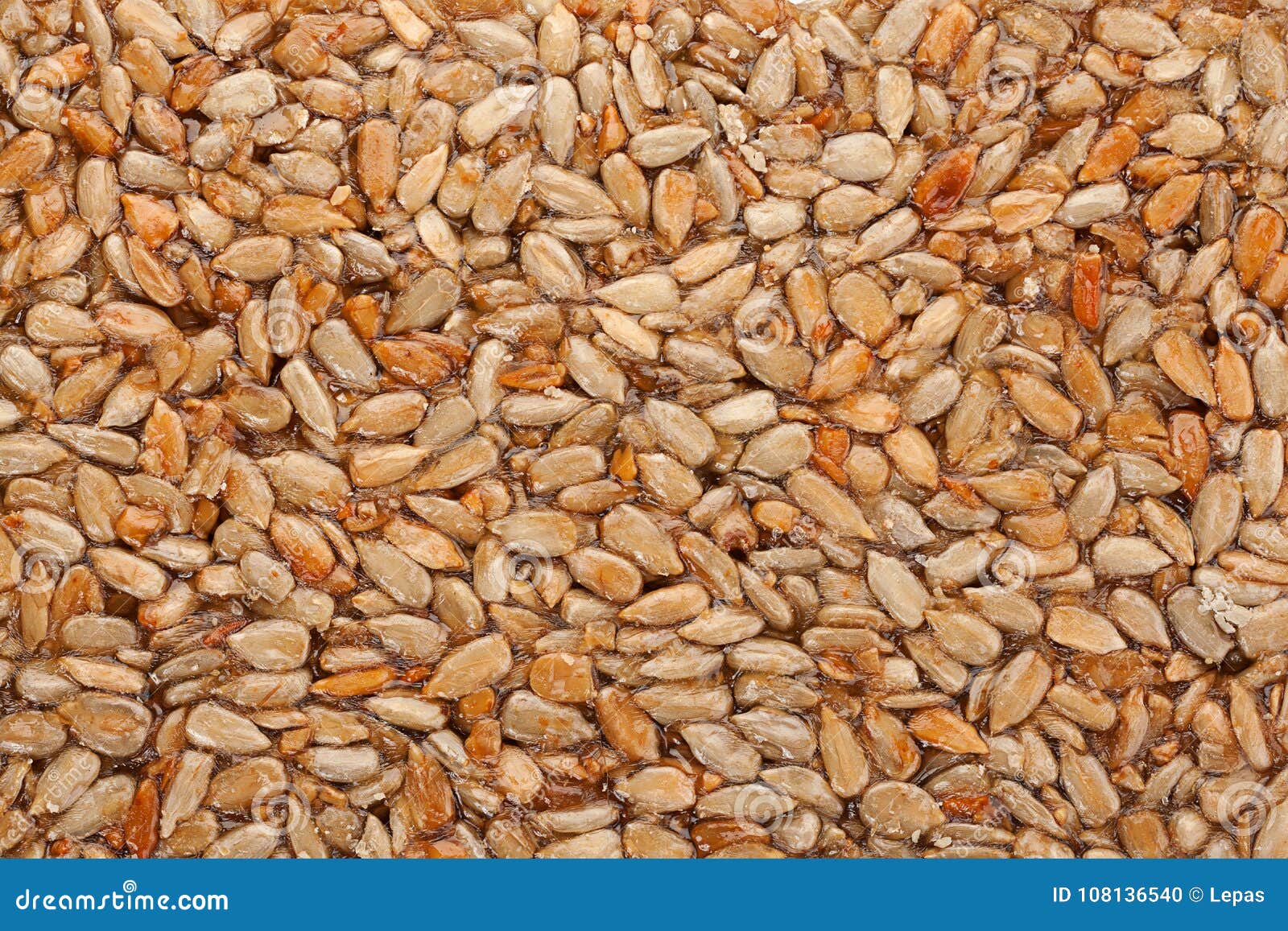 Sunflower seeds in sugar stock photo. Image of closeup 108136540