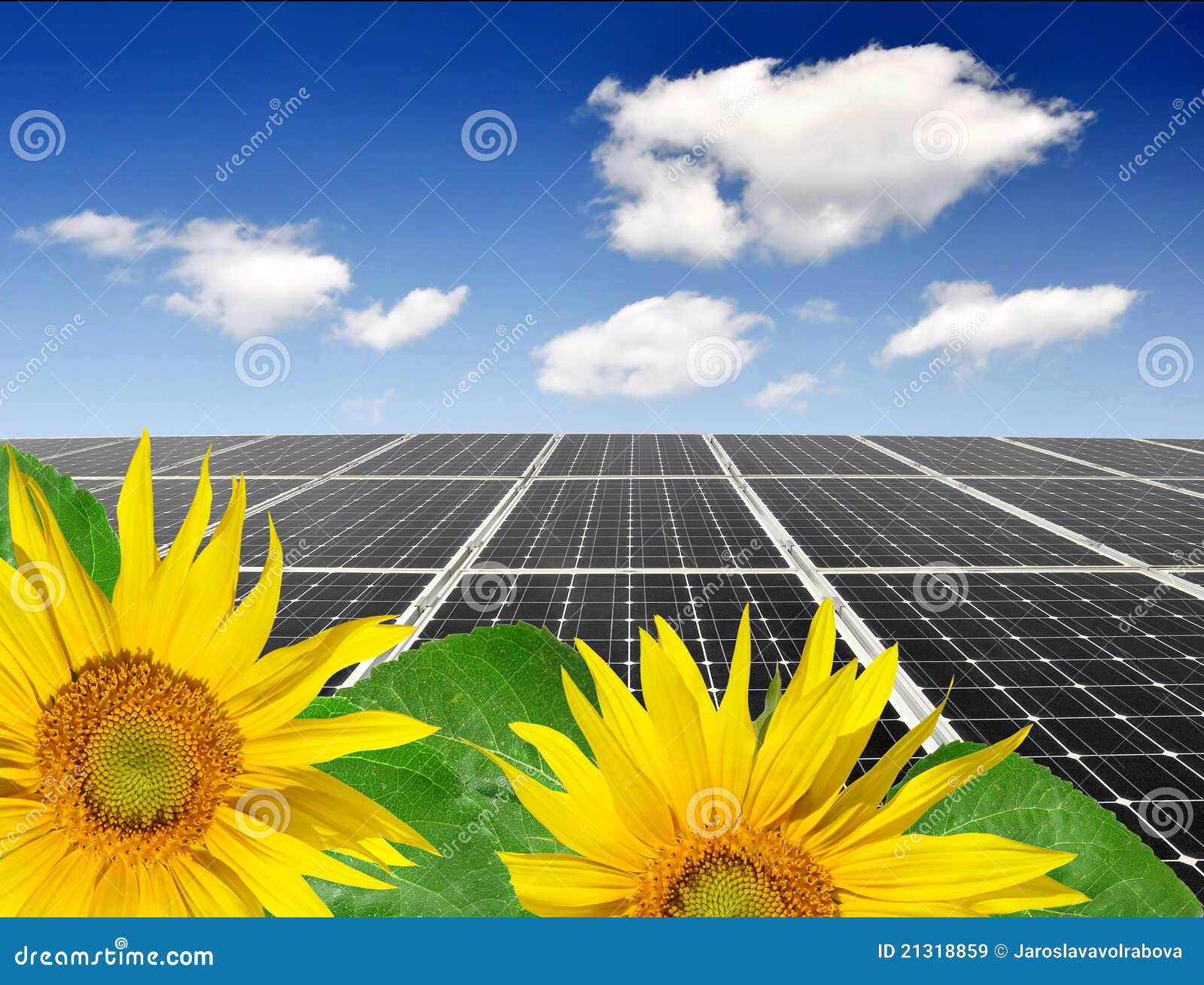 Sunflower and solar panel stock image. Image of cells 21318859
