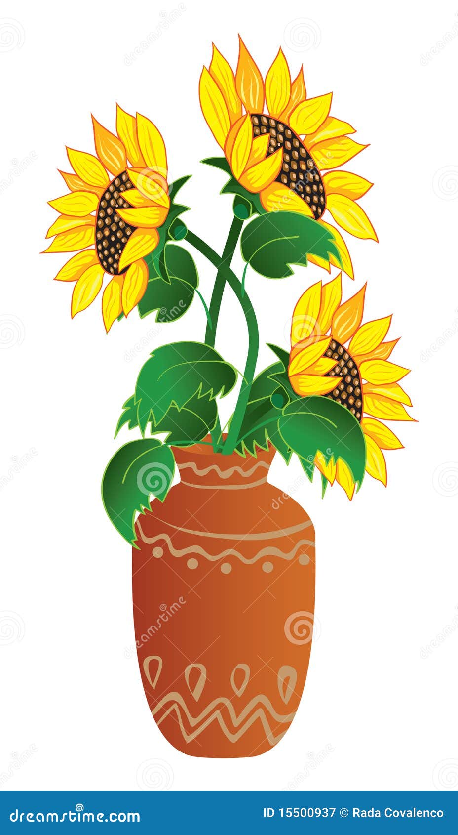 Sunflower in vase stock vector. Illustration of floral 15500937