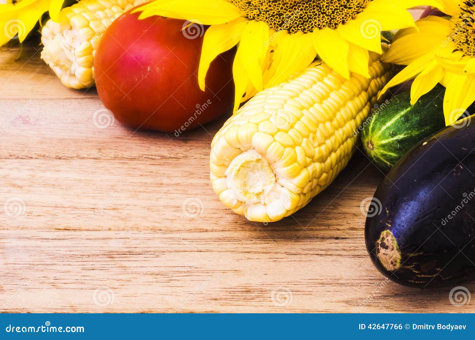 Sunflower and vegetables stock photo. Image of scene 42647766