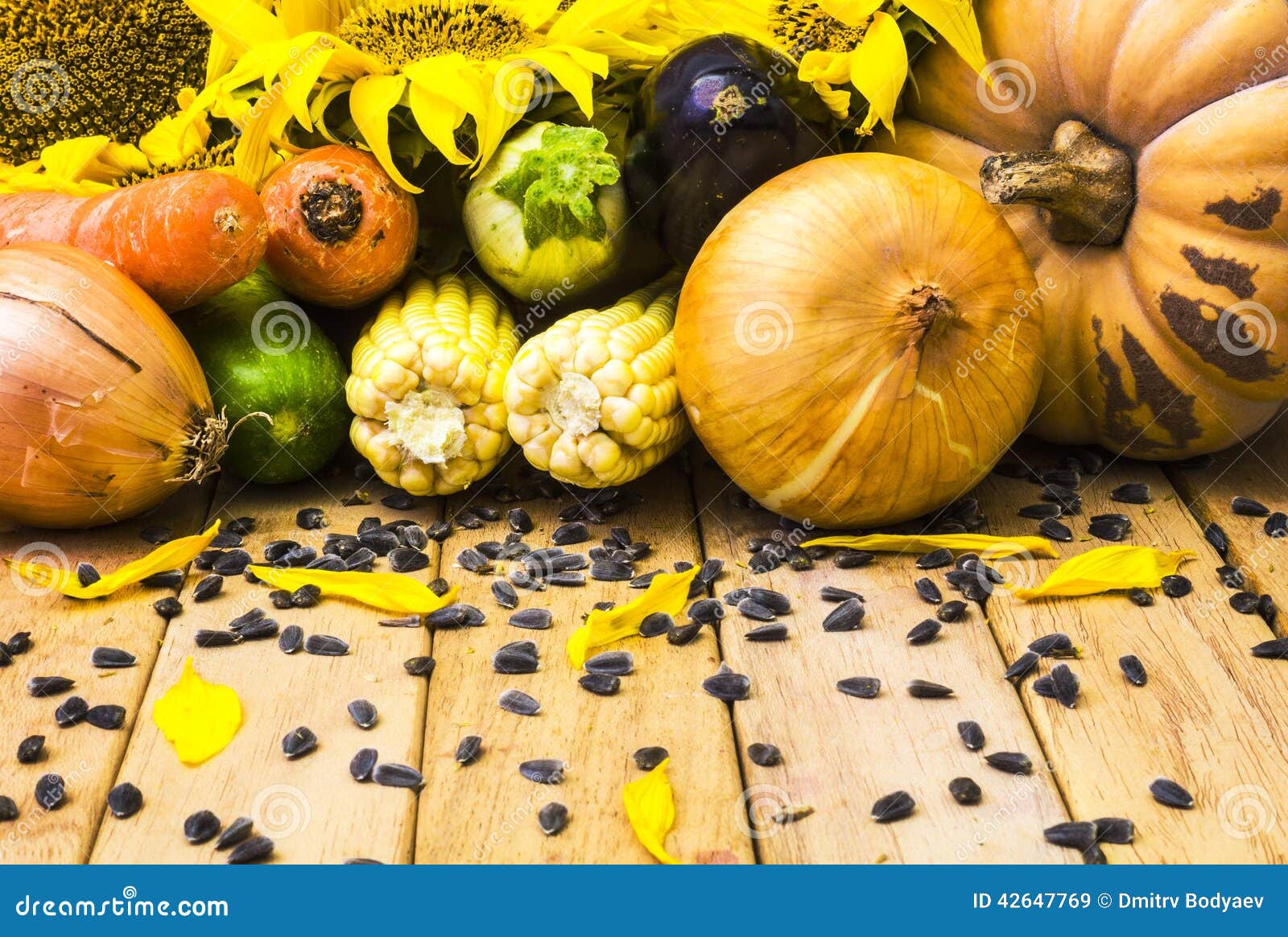 Sunflower and vegetables stock image. Image of leaf, food 42647769