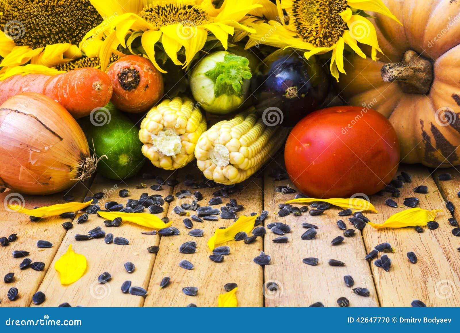 Sunflower and vegetables stock photo. Image of seed, celebrations
