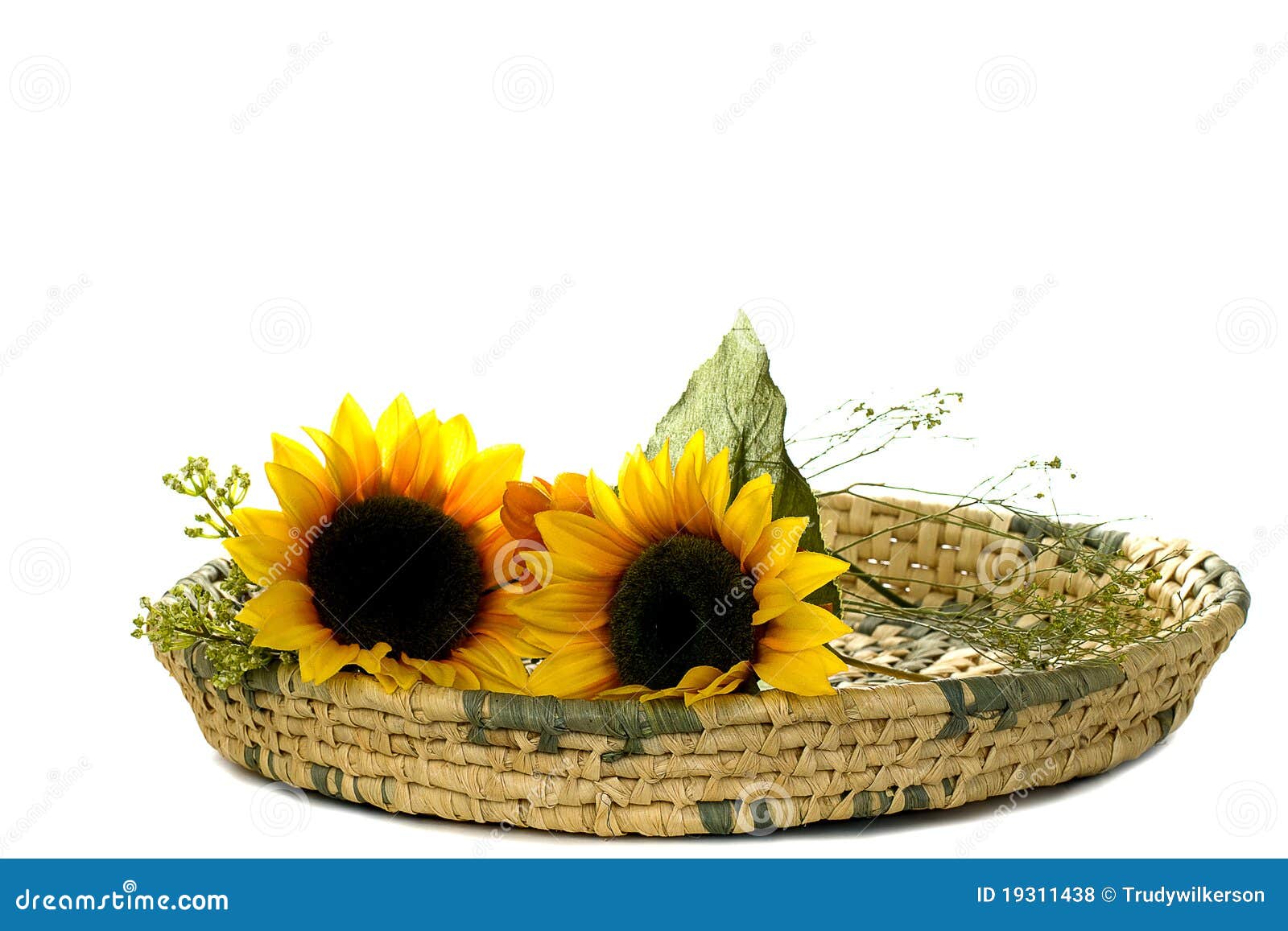 Sunflowers in Basket stock photo. Image of weave, wicker 19311438