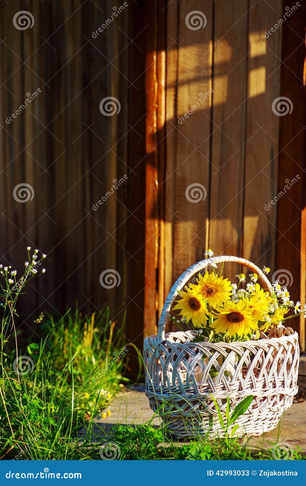 Sunflowers in basket stock image. Image of closeup, autumn 42993033