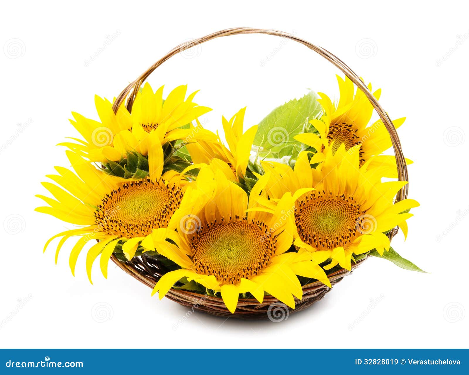 Sunflowers in a basket stock image. Image of beautiful 32828019