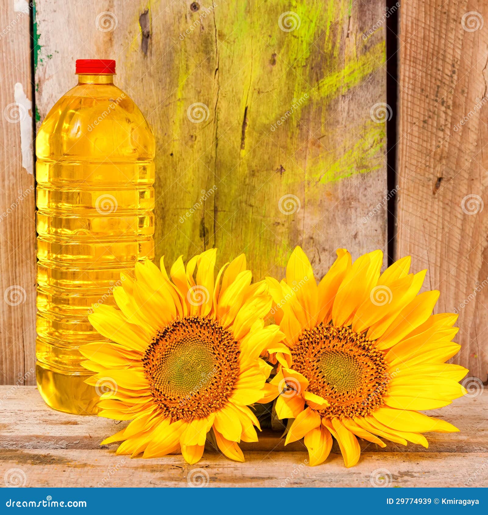 Sunflowers and a Bottle of Vegetable Oil Stock Image Image of ecology, diet 29774939