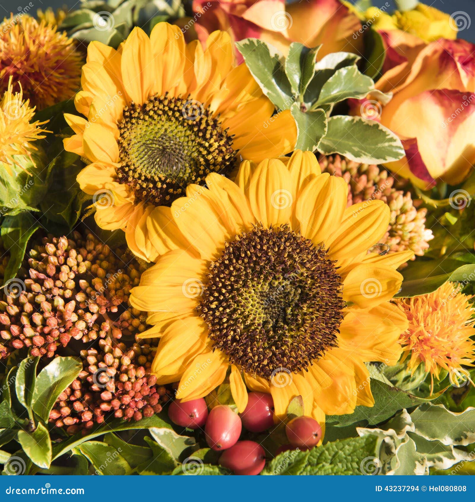 sunflowers and fall flowers. yellow sunflowers, orange roses, rose hips and more flowers of autumn