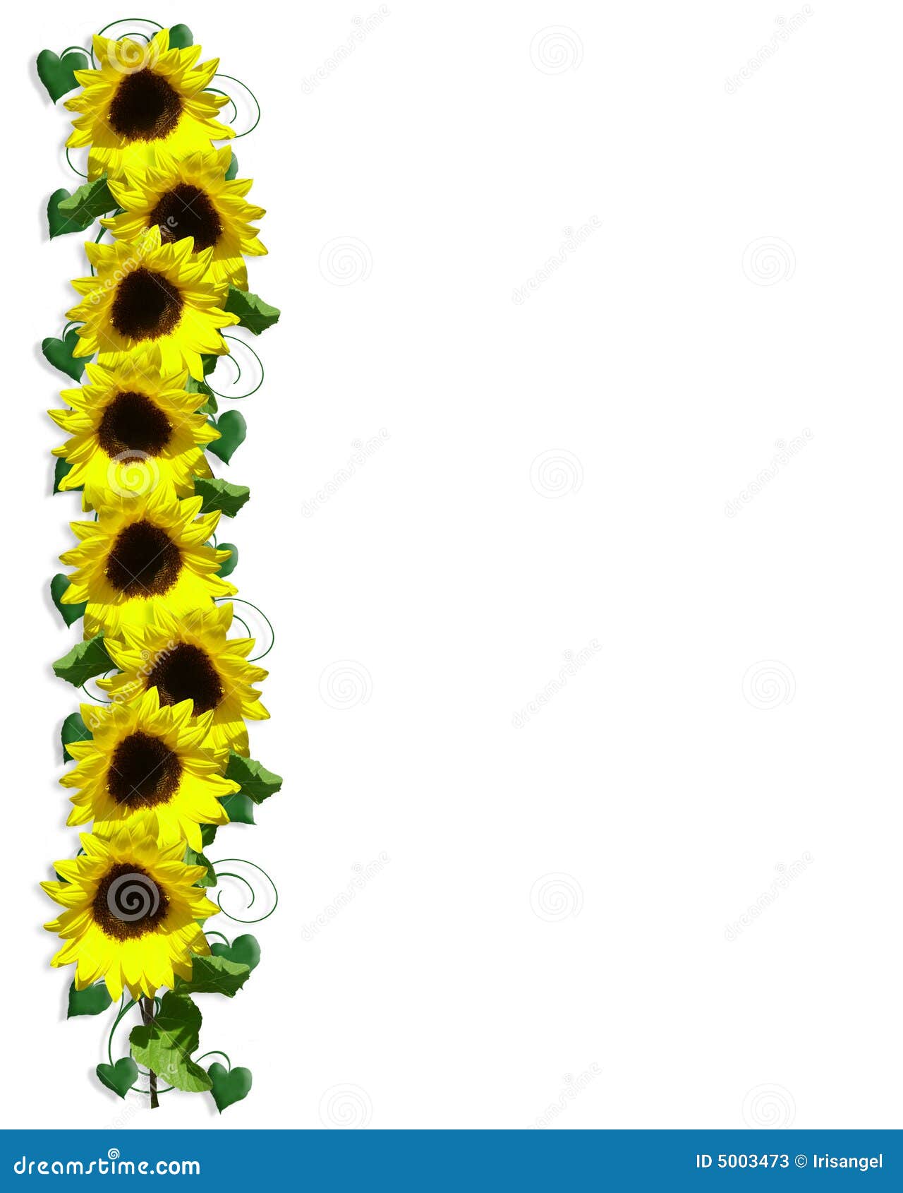 Sunflower And Roses Border