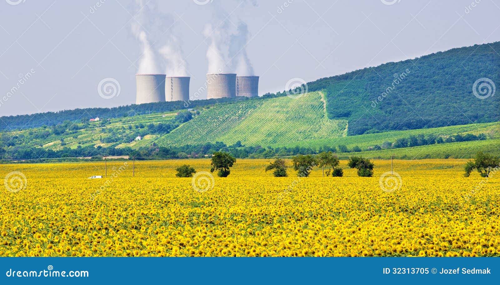 Sunflowers and Nuclear Power Plant Stock Image Image of landscape, sunflowers 32313705