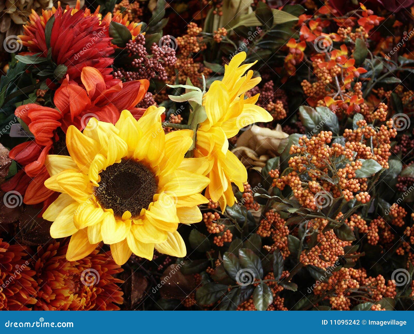 Sunflowers and Other Fall Flowers Stock Photo Image of background