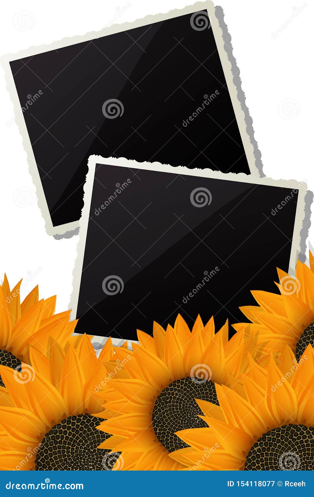 Sunflowers and Photo Frames Stock Vector Illustration of artistic