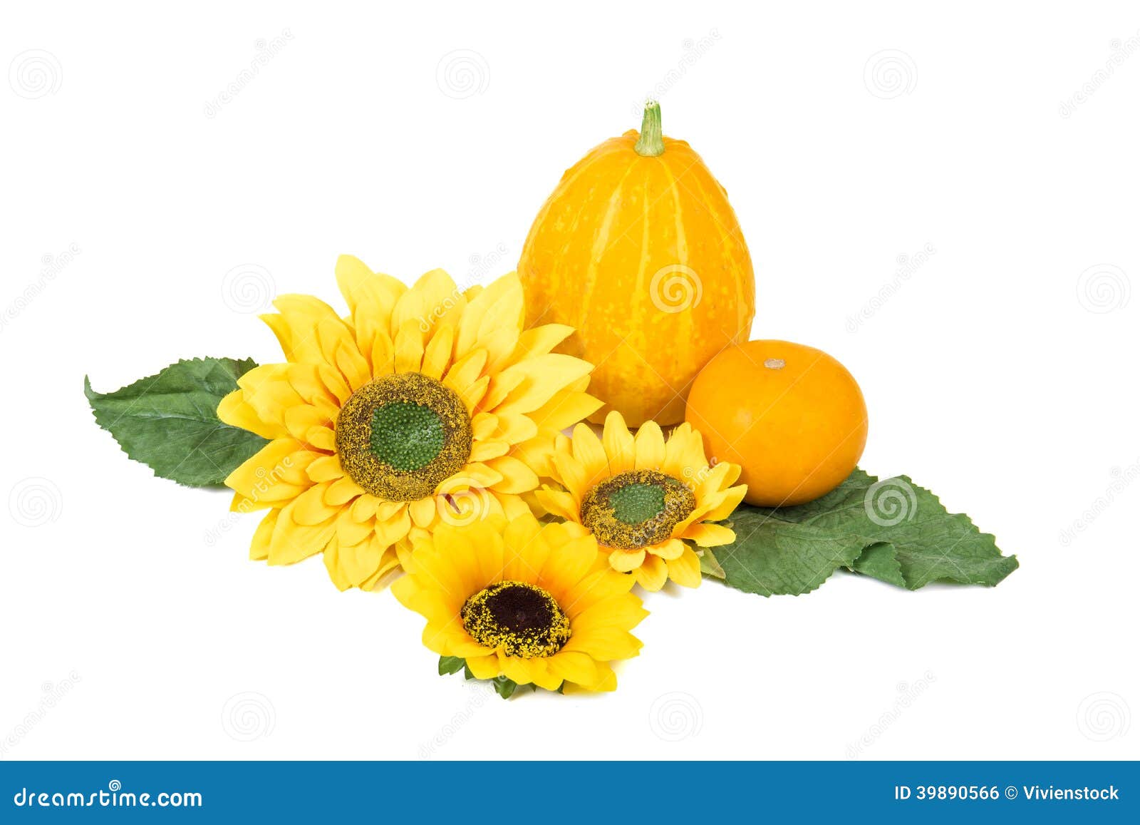 Sunflowers And Pumpkins Stock Photo - Image: 39890566