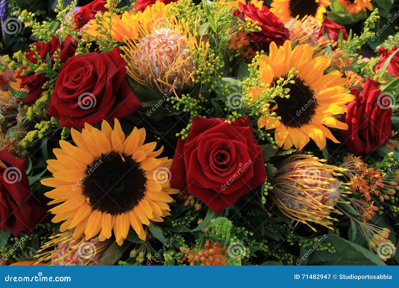 Download Sunflowers and roses stock image. Image of flower ...