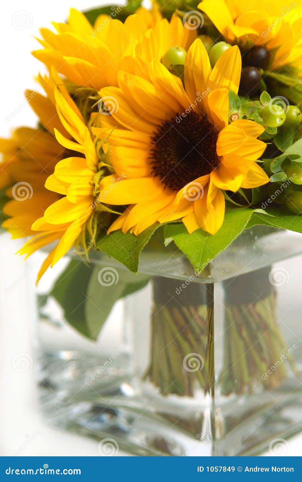 Sunflowers in Vase stock image. Image of vase, peaceful 1057849