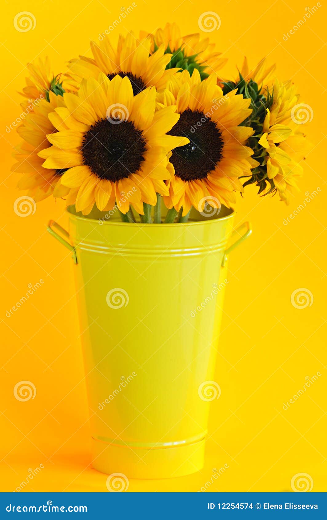 Sunflowers in vase stock photo. Image of flowers, details 12254574