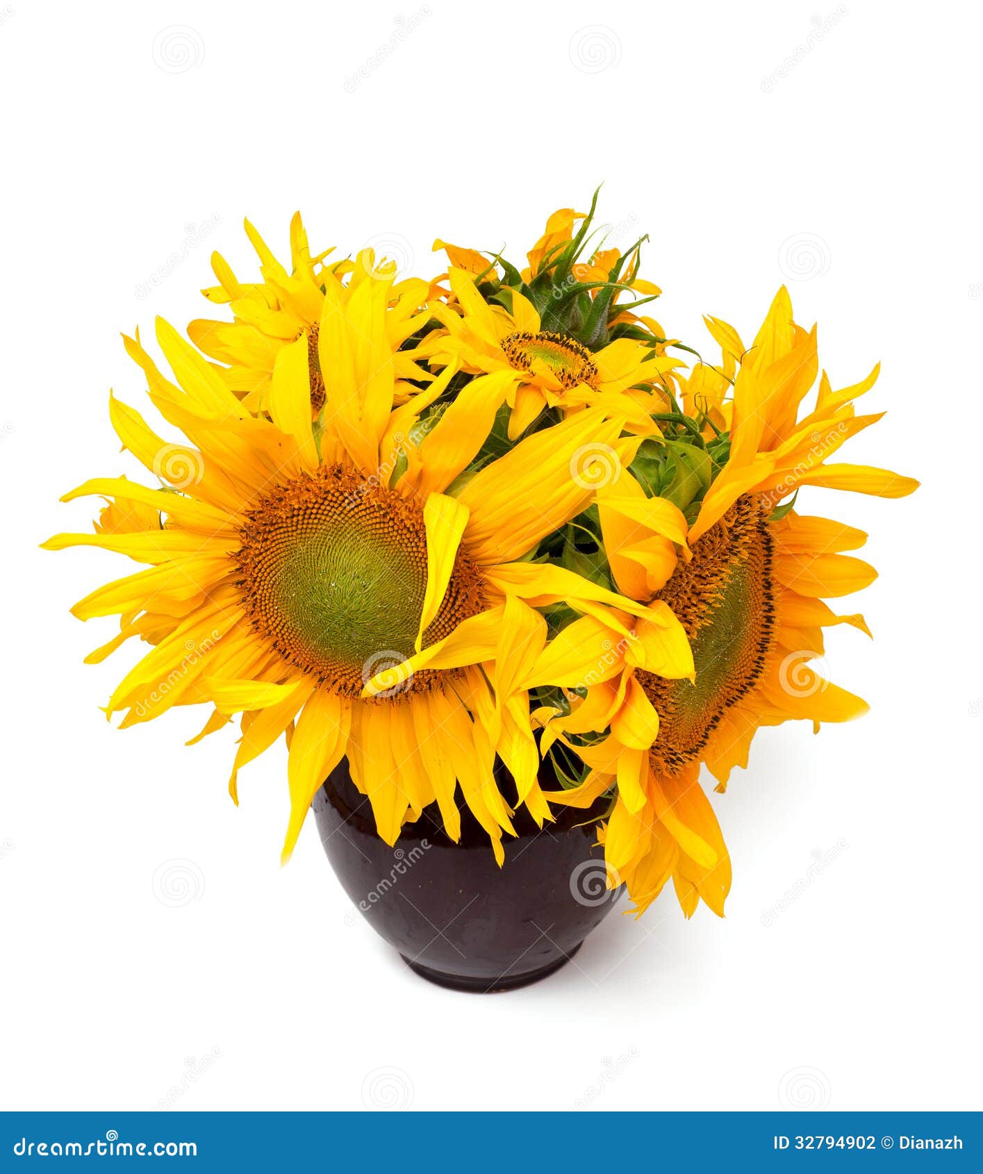 Sunflowers in a vase stock photo. Image of flora, bold 32794902