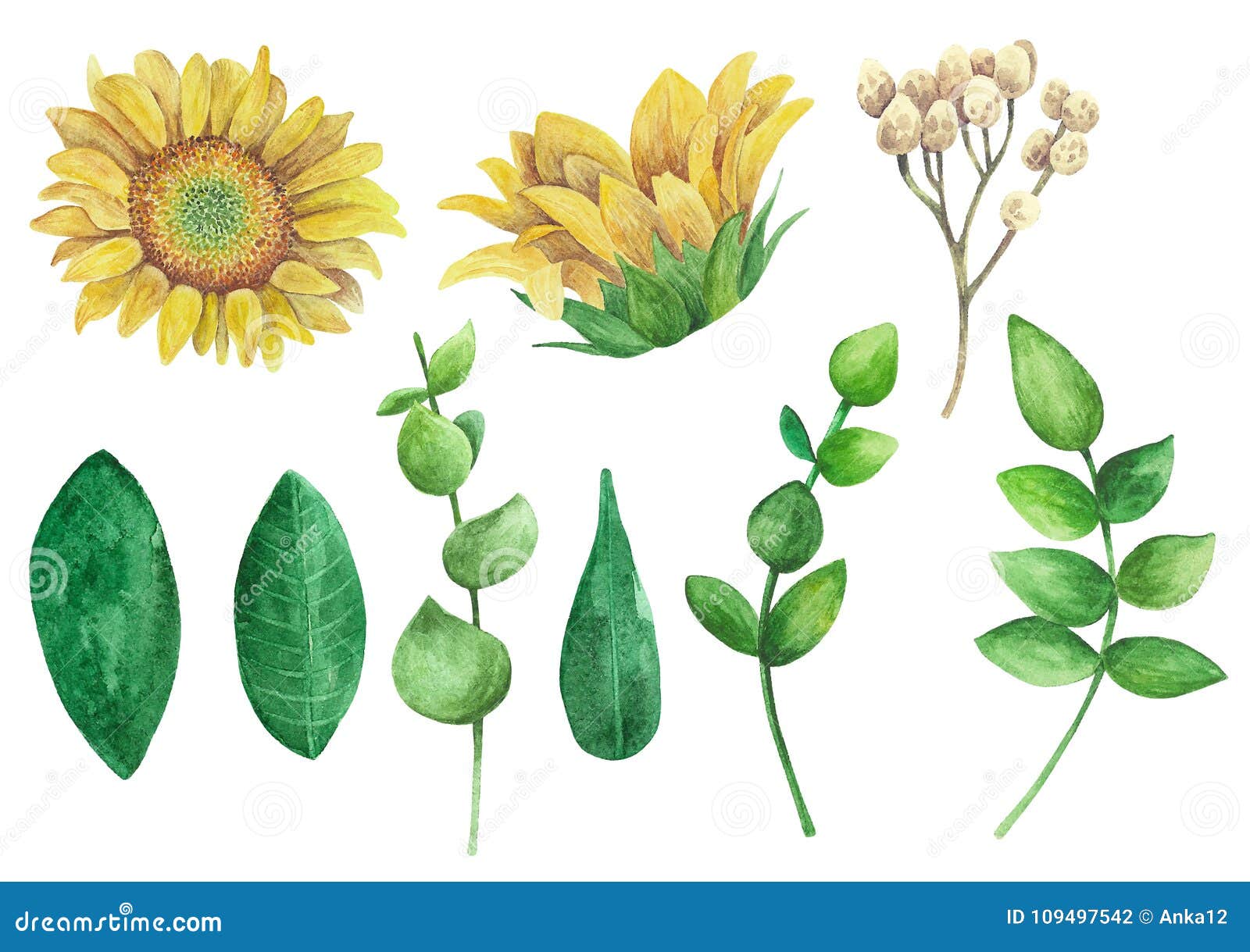 sunflowers  clipart. rustic flowers clip art watercolor