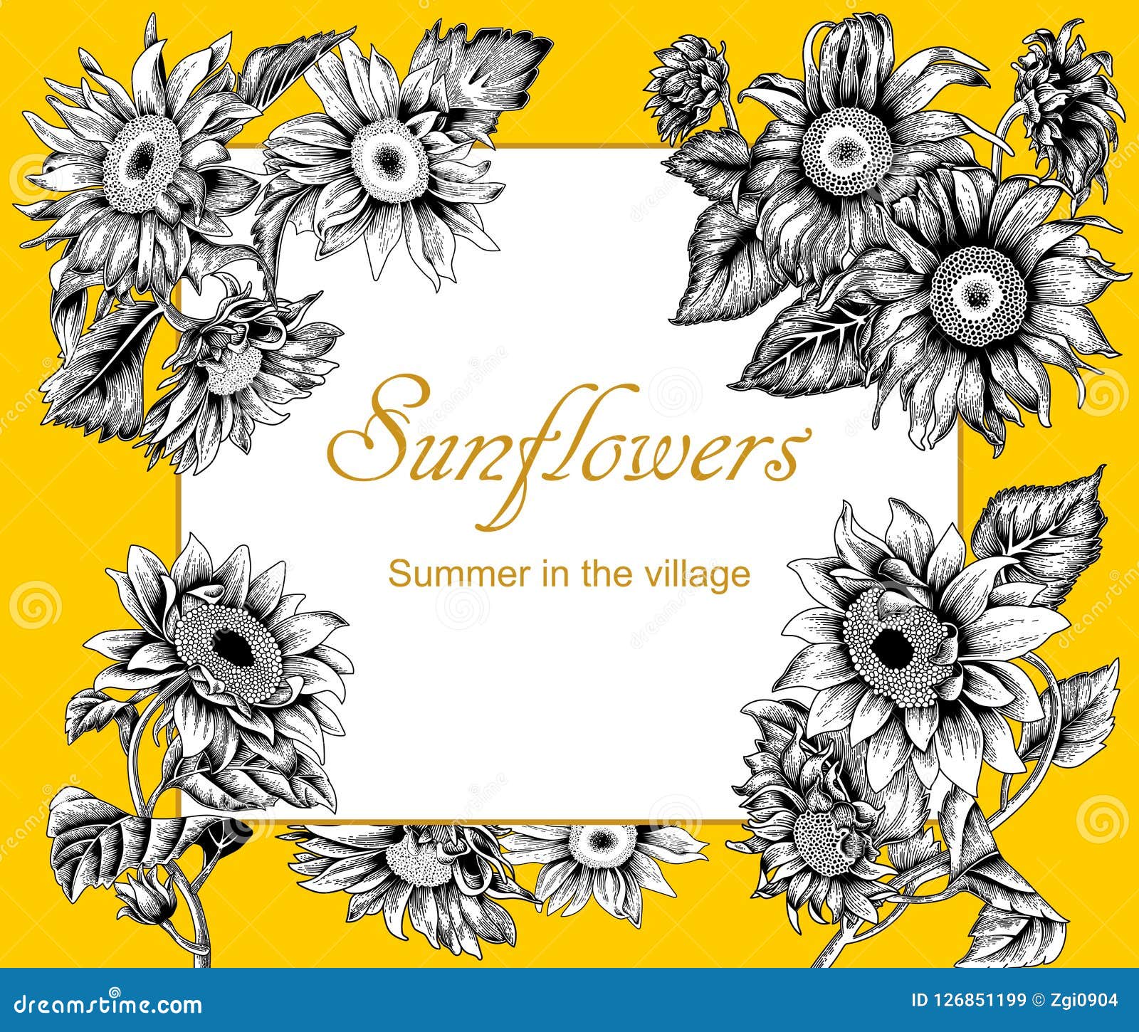 Download Sunflowers. Vector Illustration In Vintage Style. Frame. Stock Vector - Illustration of element ...