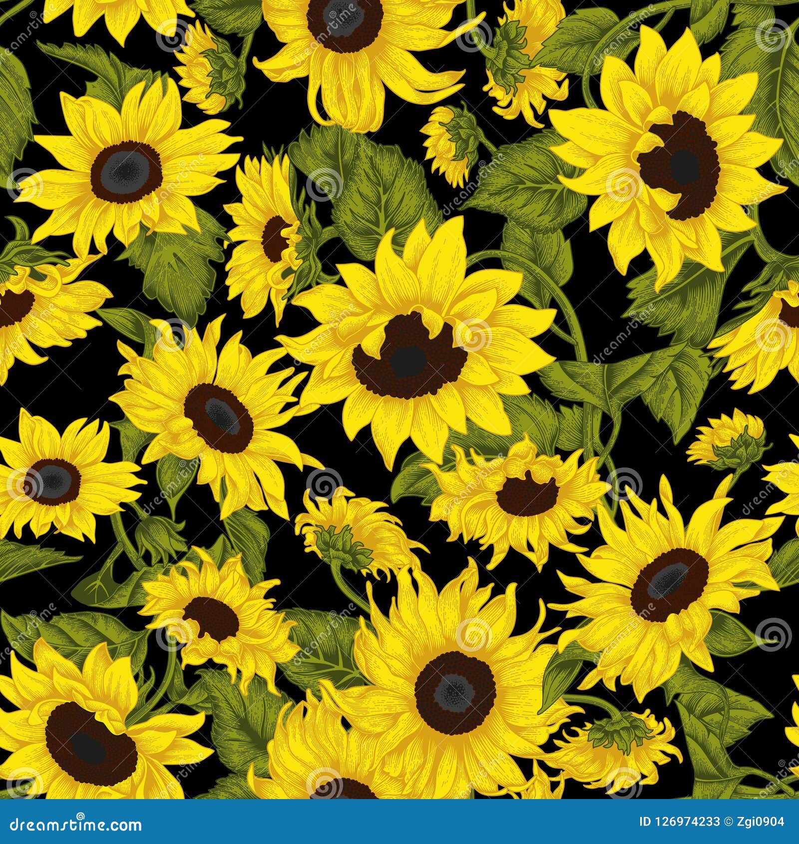 Sunflowers. Vector Illustration In Vintage Style. Seamless ...