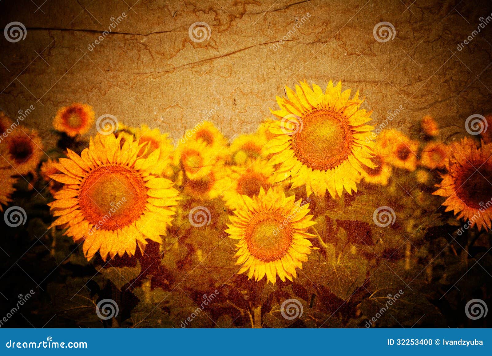 Sunflowers Vintage Background Stock Photo Image of meadow, blue 32253400