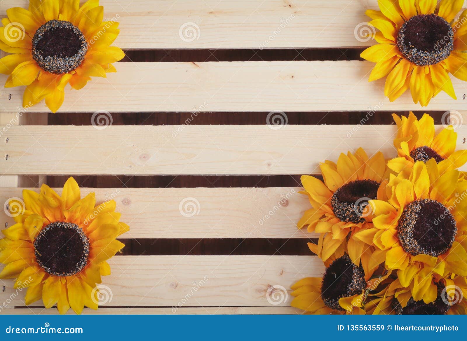 sunflowers on wood slat background