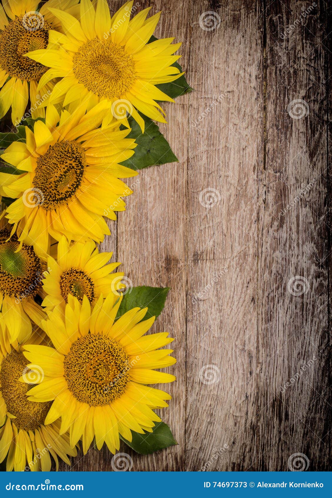 Sunflowers on Wooden Background Stock Image - Image of natural ...