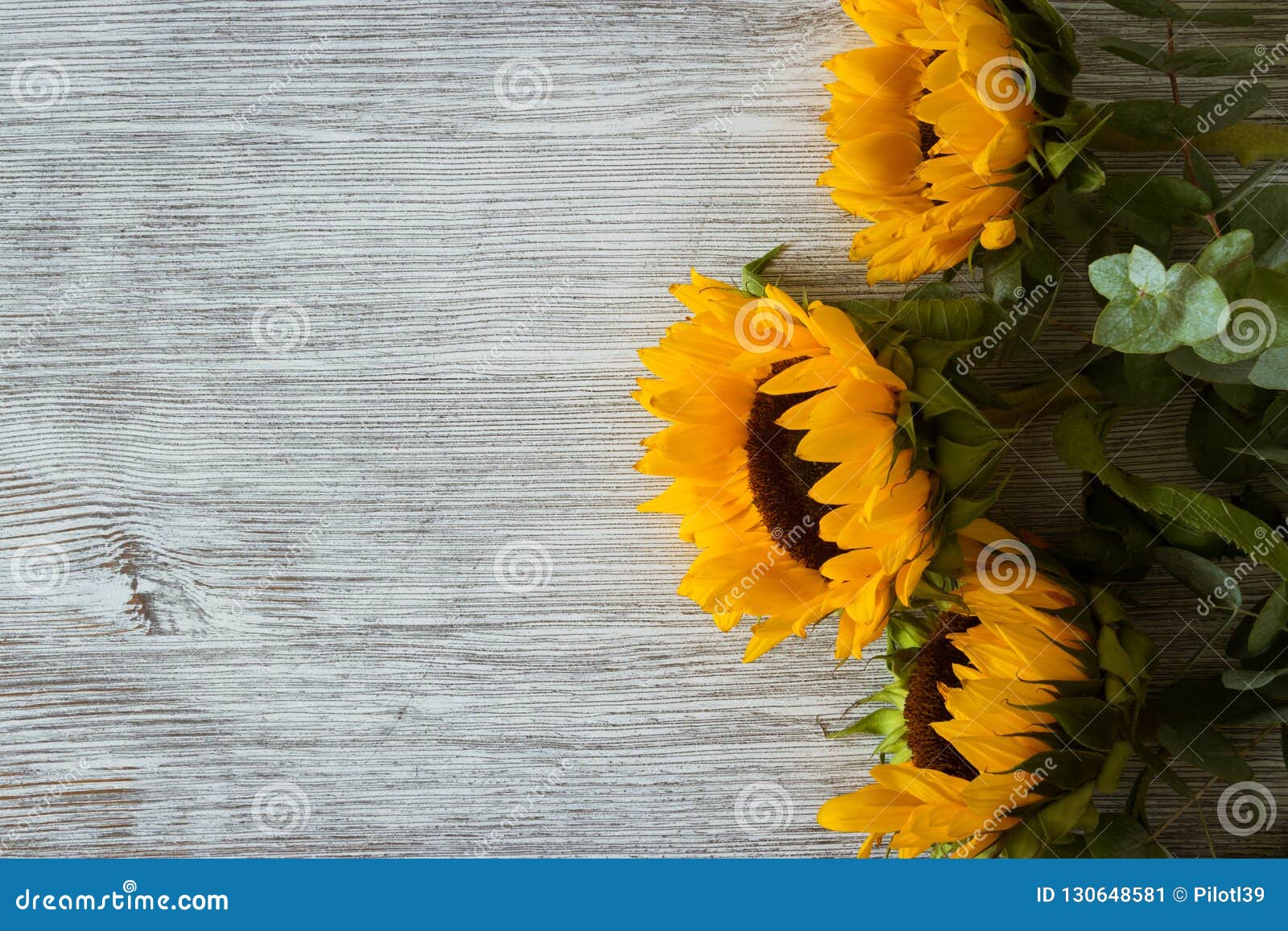 Sunflowers on Wooden BackgroundSunflowers on Wooden Background Stock ...