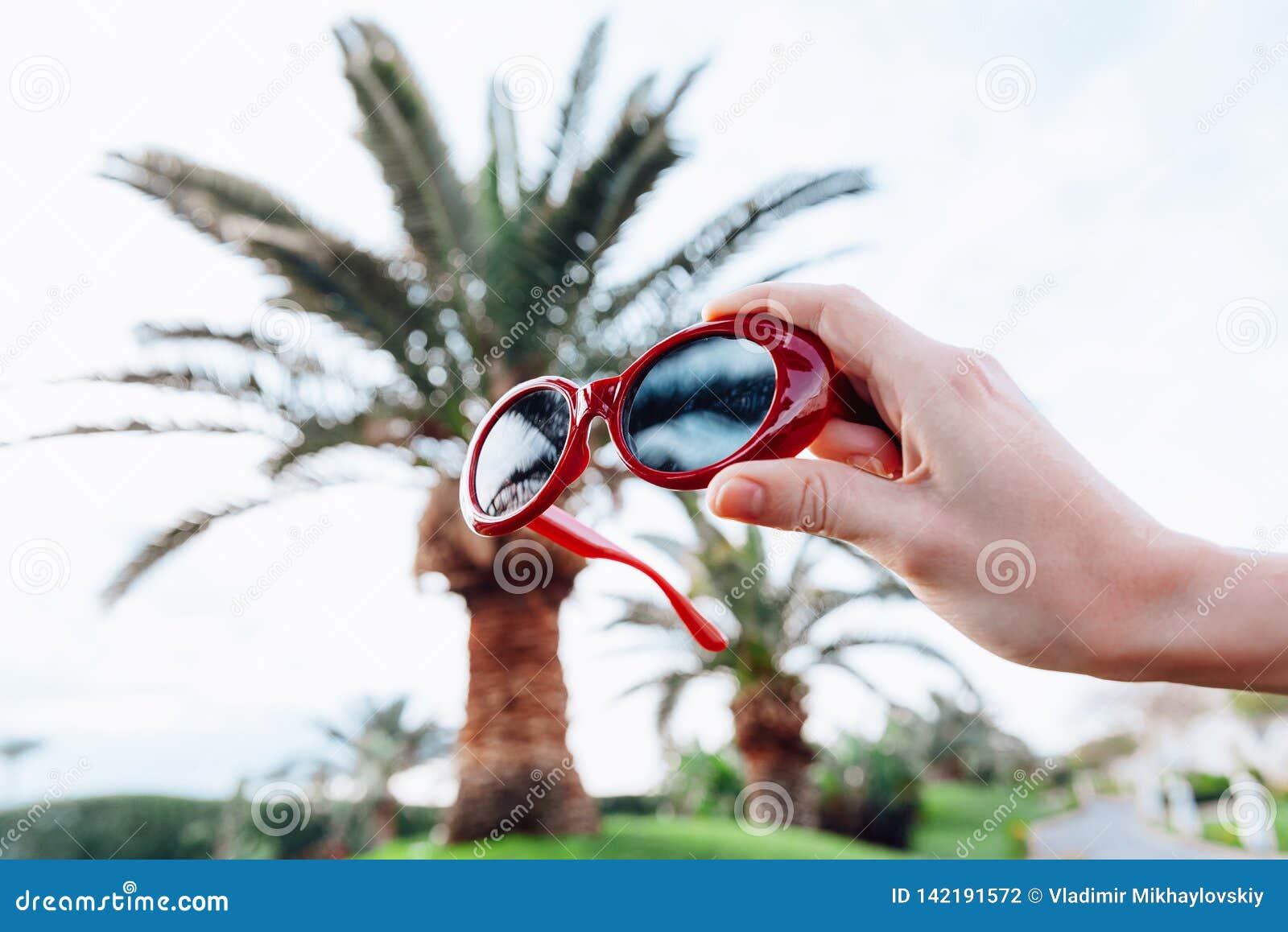 Sunglasses on the Background of Palm Trees Stock Photo - Image of beach