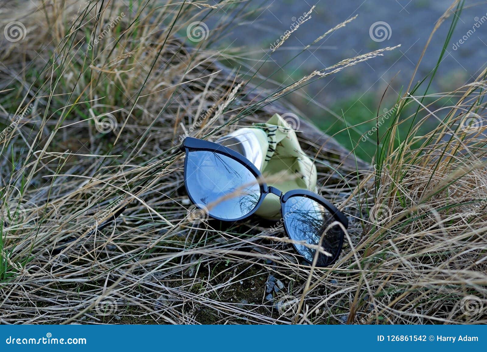 Sunglasses and an Old Can in the Grass Environment Garbage Stock