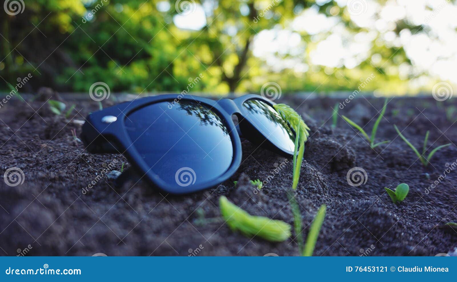 Sunglasses stock image. Image of ground, nature, sunglasses - 76453121