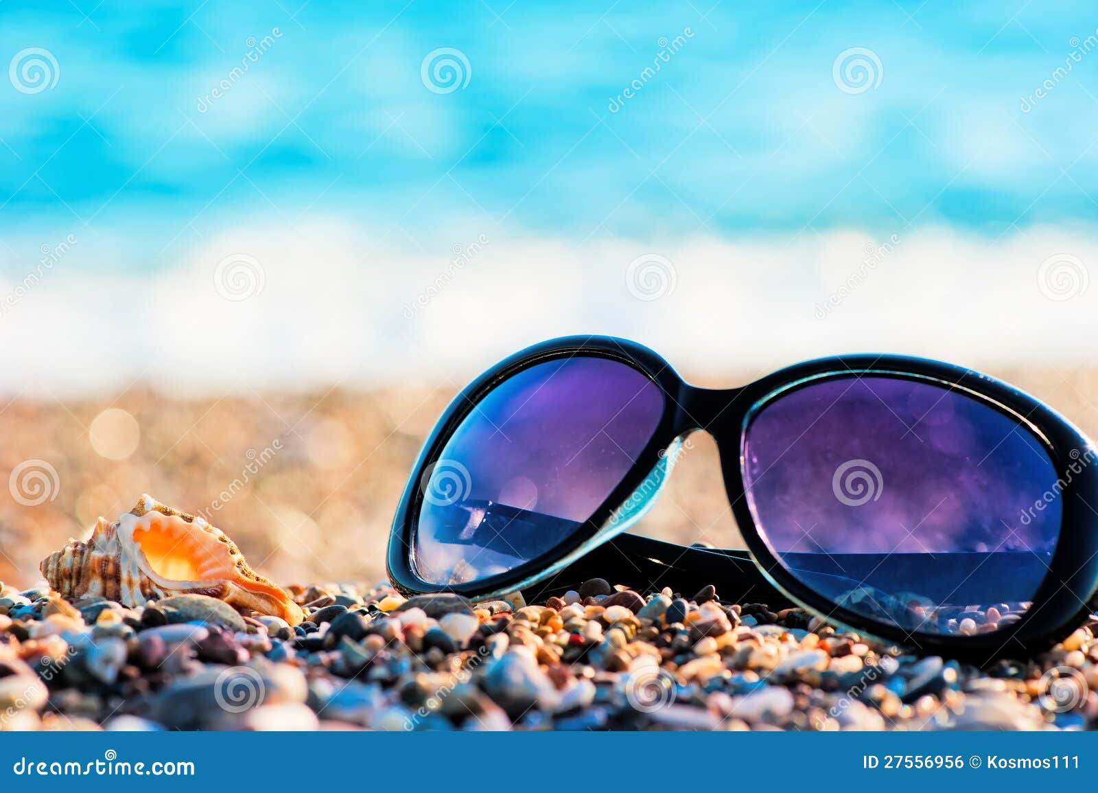 Sunglasses and shells stock photo. Image of relaxation - 27556956