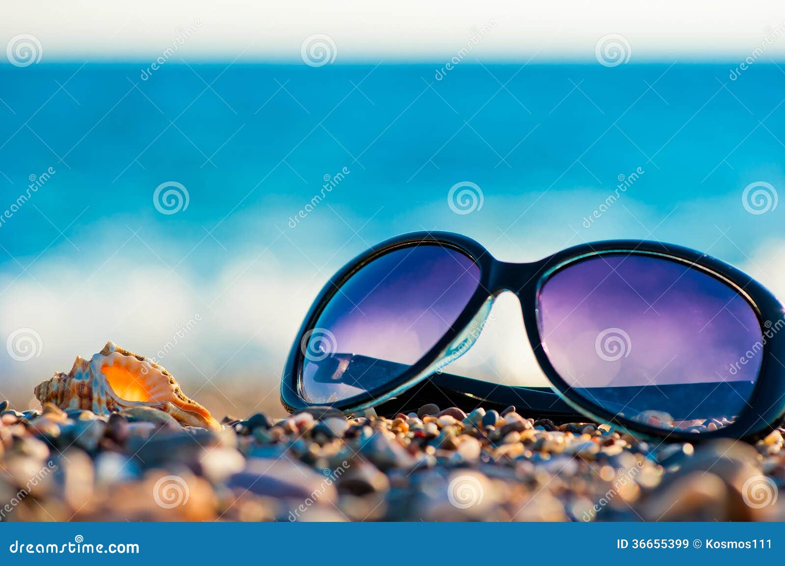 Sunglasses and Shells on the Beach Stock Image - Image of hobbies ...