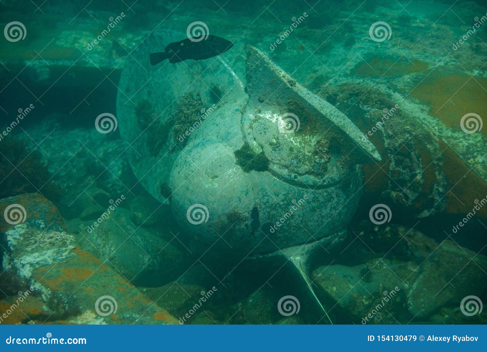 Diving and underwater photography, the ship underwater sunken lies on the ocean floor. The sunken ship lies on the ocean floor, the vessel propeller is protected by fish and sea urchins