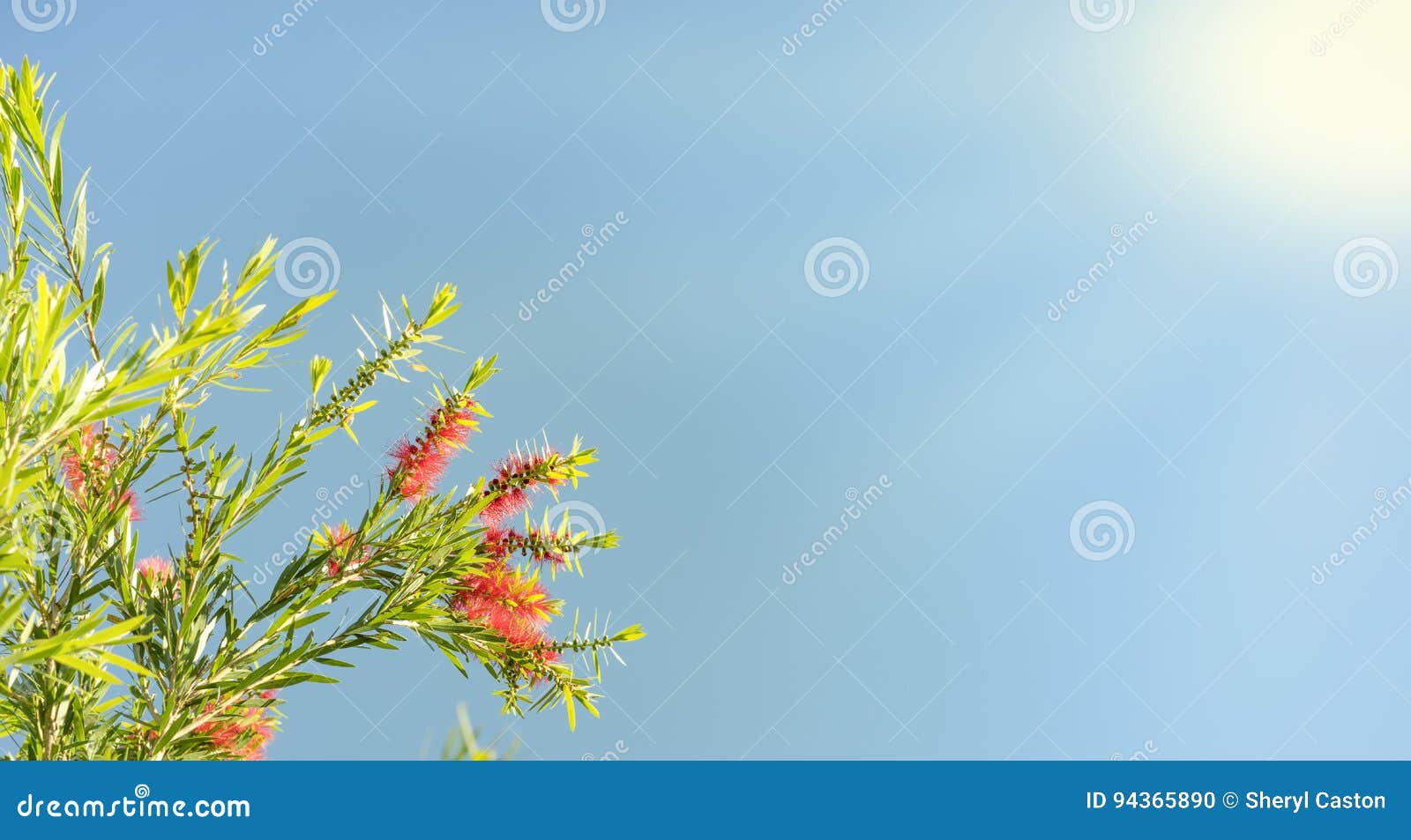 Blue Funeral Background Images – Browse 7,891 Stock Photos, Vectors, and  Video