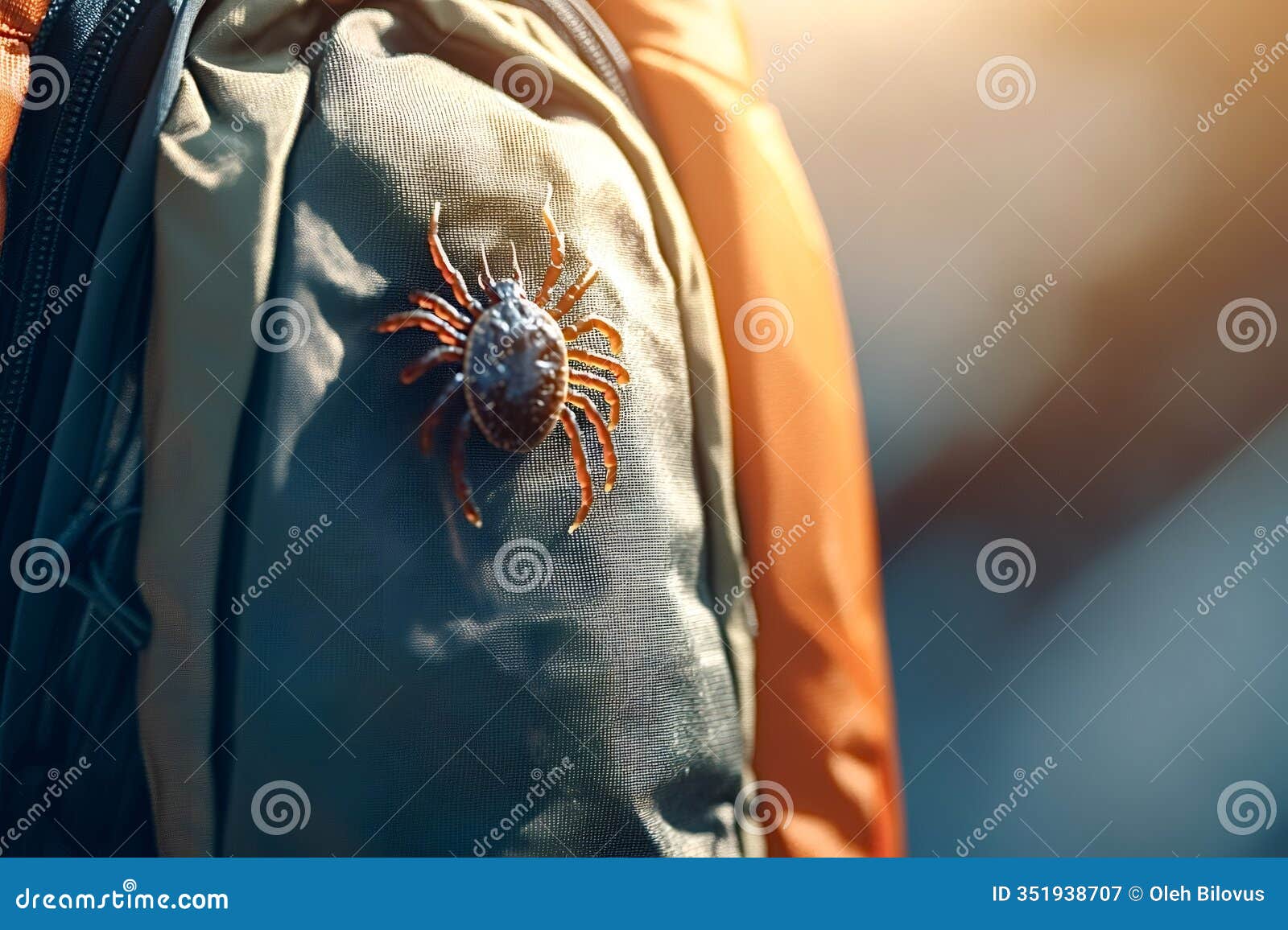 tick crawling on backpack during hiking trip in nature