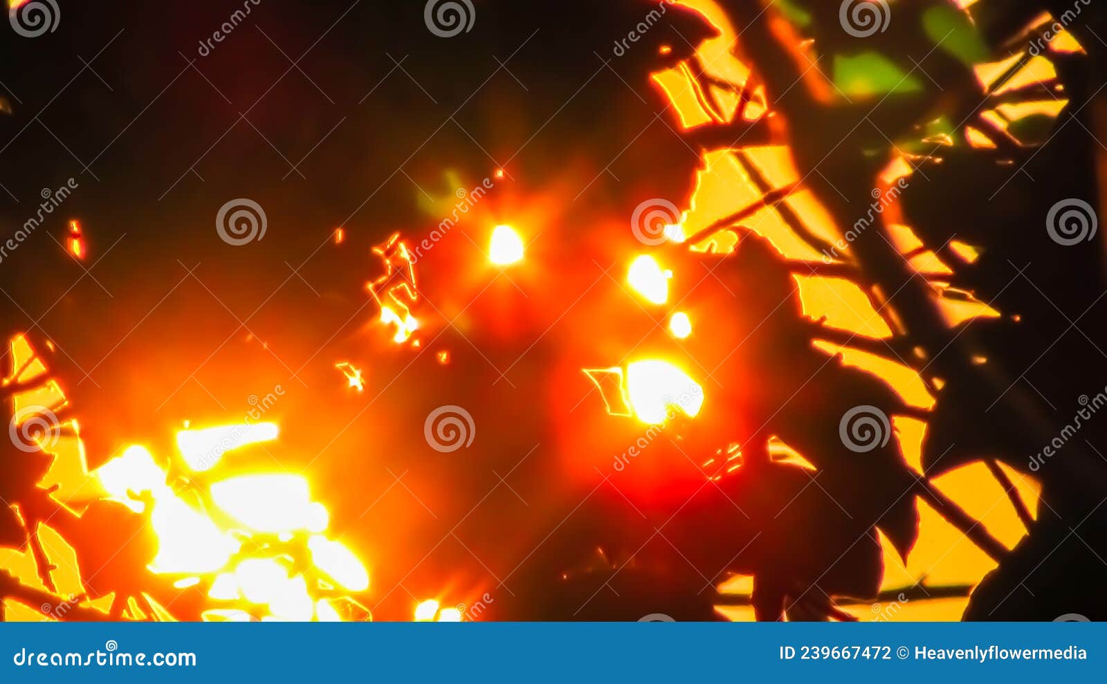 Sunlight Makes Every Morning Pleasant Stock Photo Image of sparkler