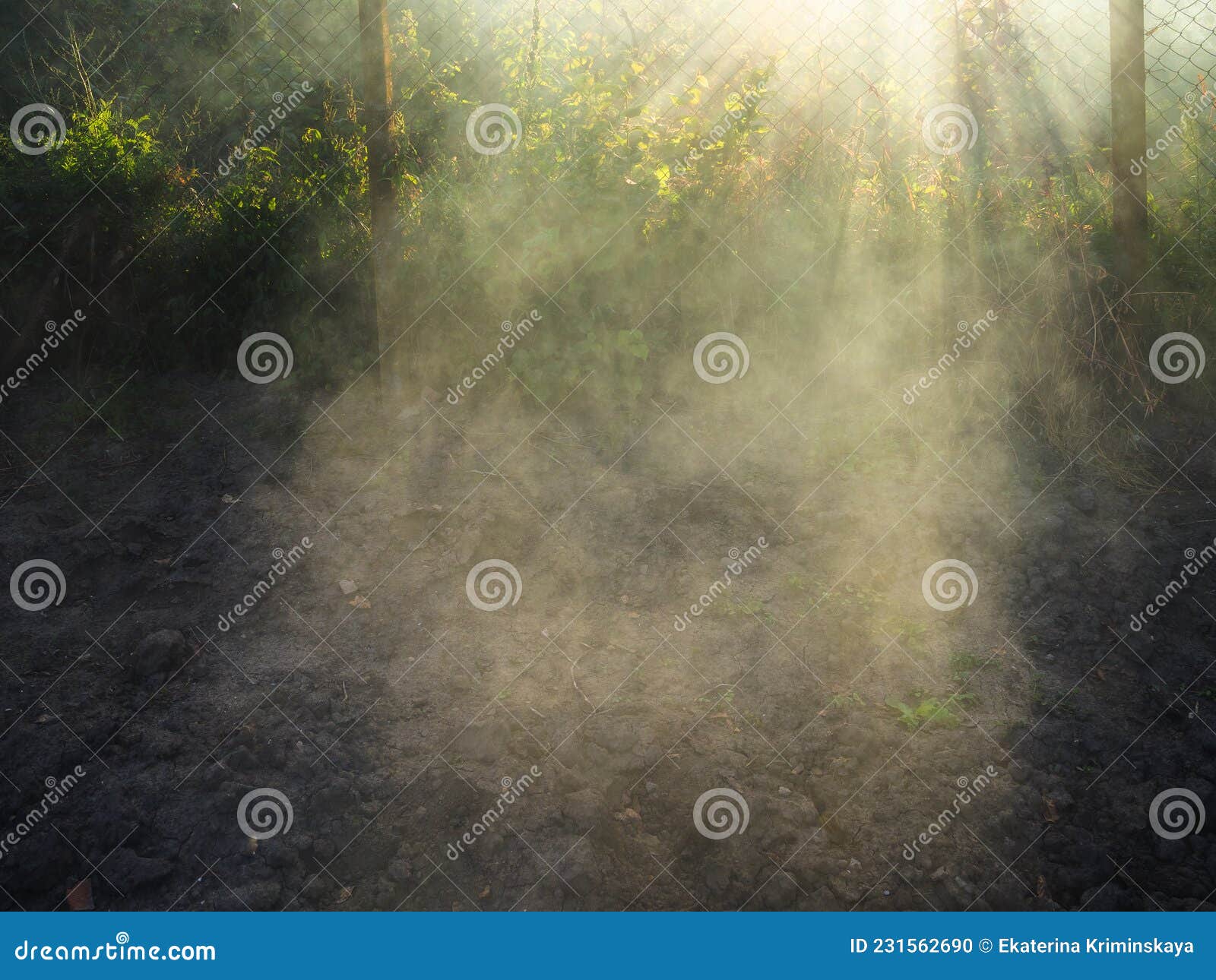 Sunlight in Smoke from Burning Plants Over Garden Stock Photo Image