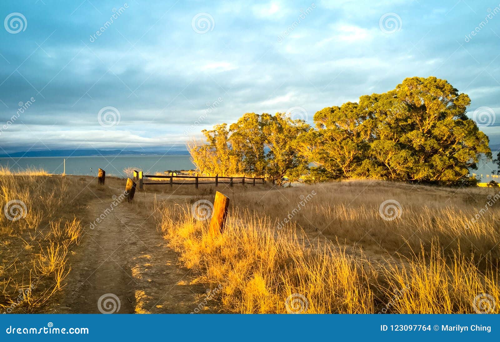 Sunlit Fall Season Nature Background with Walking Path, Golden G Stock