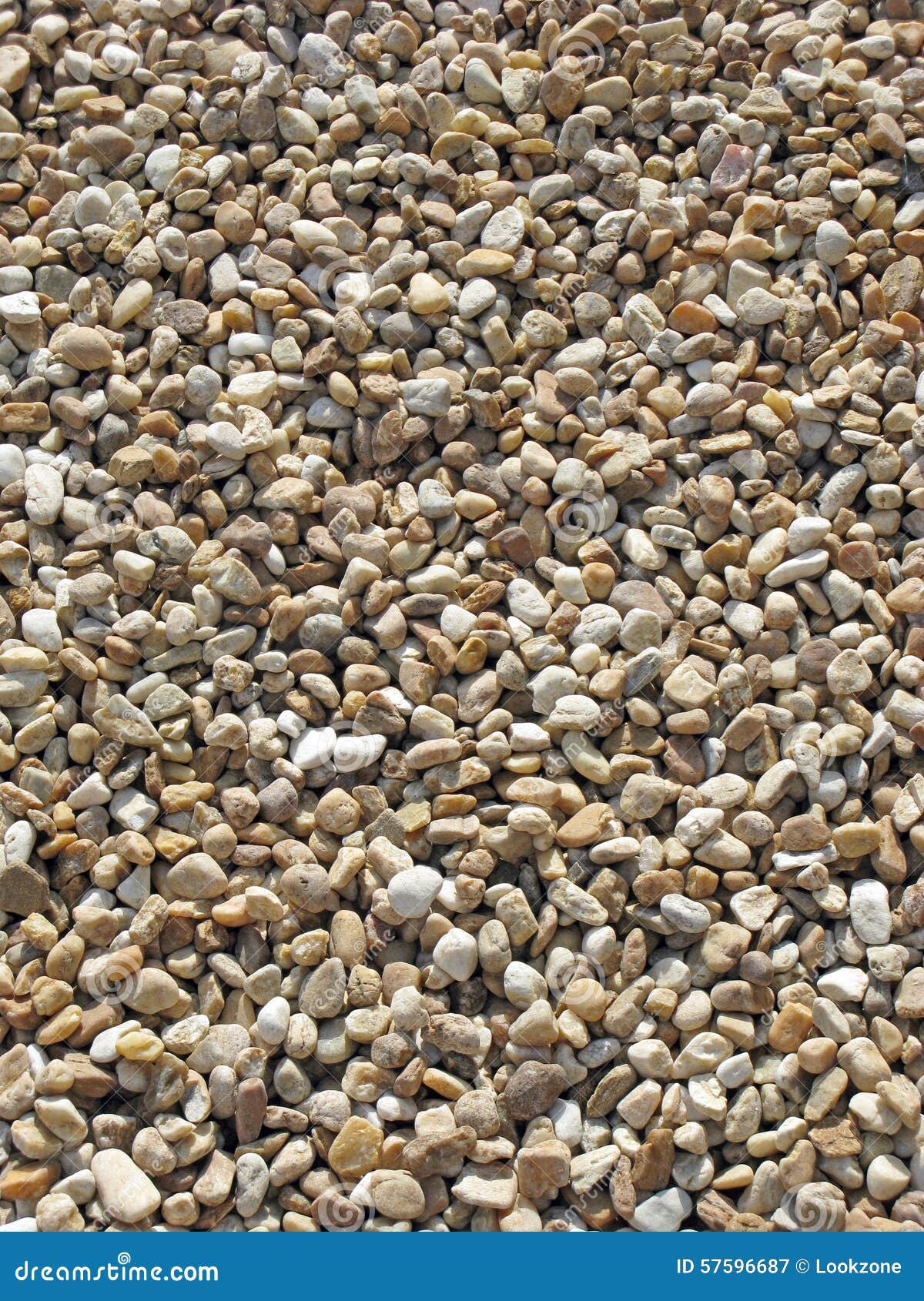 sunlit pebbles