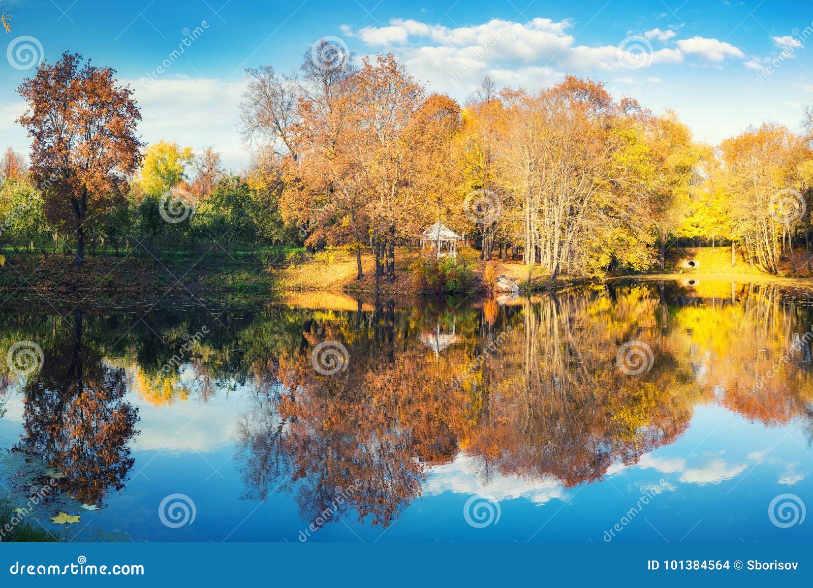 Sunny Autumn In The Park Over Lake Stock Photo Image Of Natural