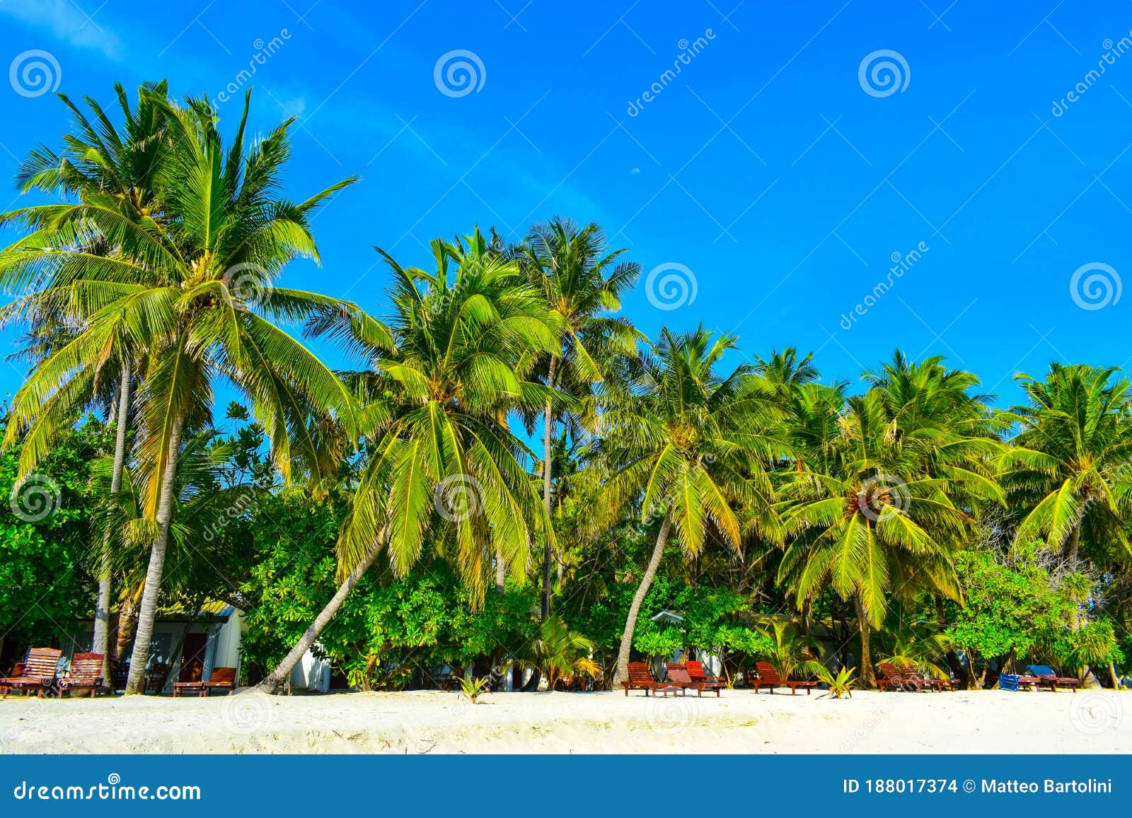 Sunny Beach with White Sand, Coconut Palm Trees and Turquoise Sea ...