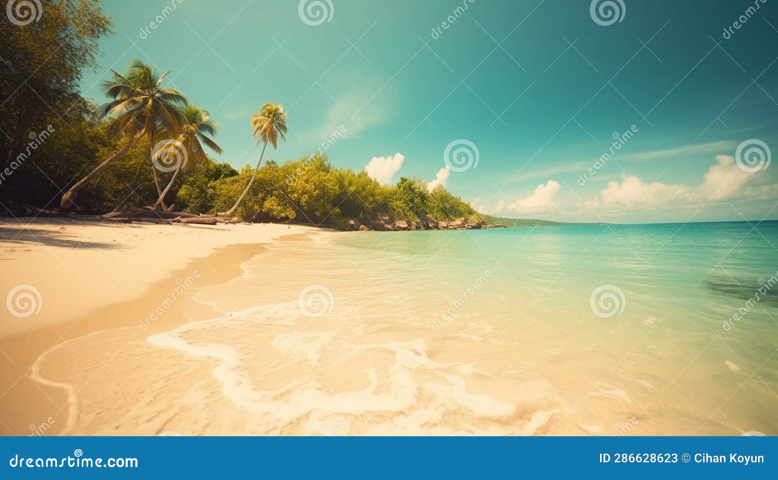 sunny beachscape with tranquil waves