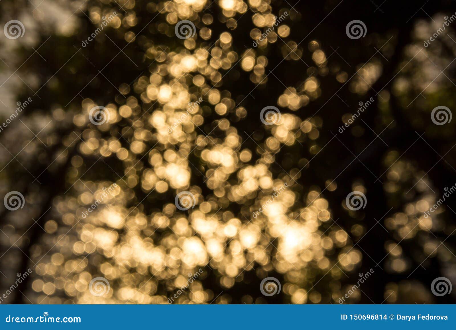 Sunny Bokeh of Light through the Branches of Trees Stock Photo - Image