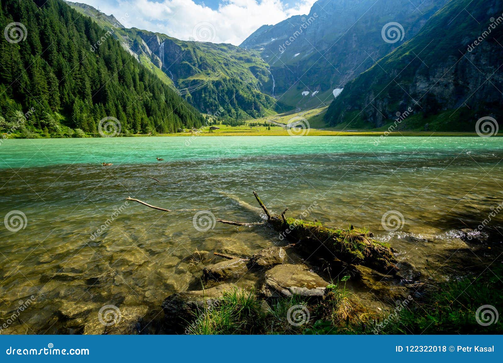 sunny and bright afternoon on the hintersee lake with two ducks