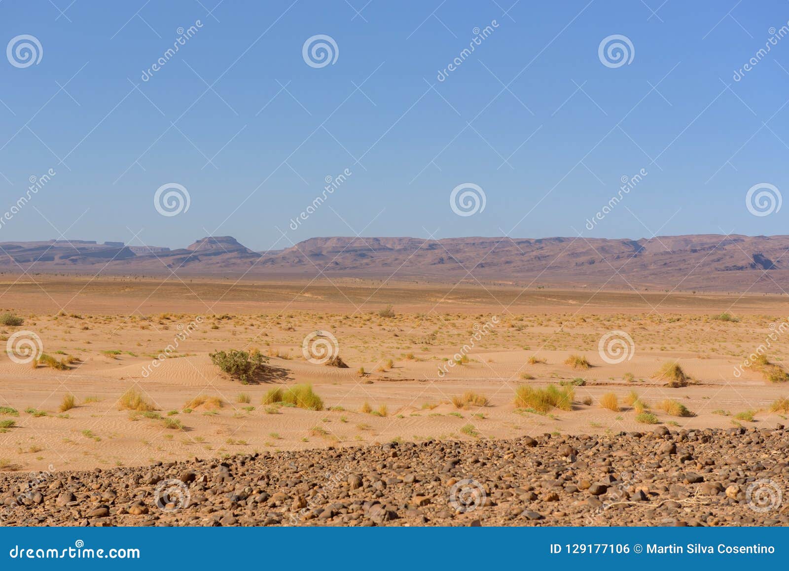 dunes in the desert of sahara, morocco.