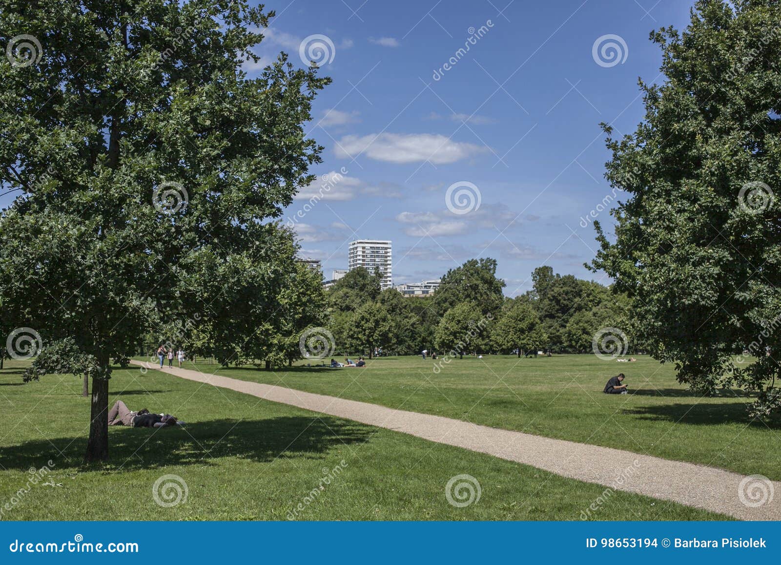 Sunny Day in Hyde Park and a Path. Editorial Stock Image - Image of ...