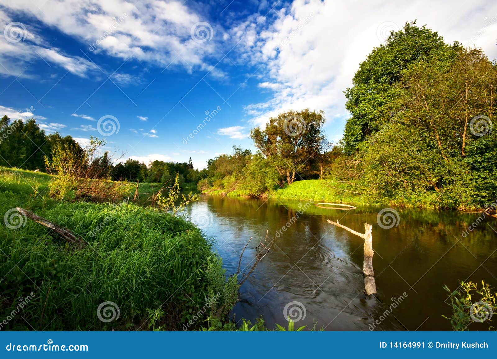 Sunny day near the river stock image. Image of life, fresh 14164991